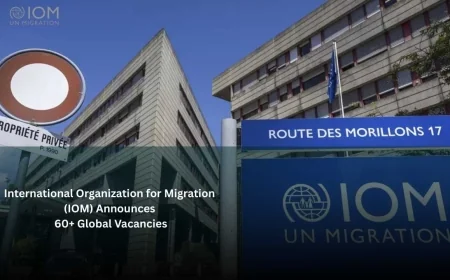International Organization for Migration (IOM) Announces 60+ Global Vacancies: Apply Now for UN Career Opportunities