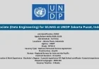 IT Associate (Data Engineering) for SILNAS at UNDP [Jakarta Pusat, Indonesia]