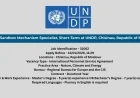 Energy Sandbox Mechanism Specialist, Short-Term at UNDP, Chisinau, Republic of Moldova