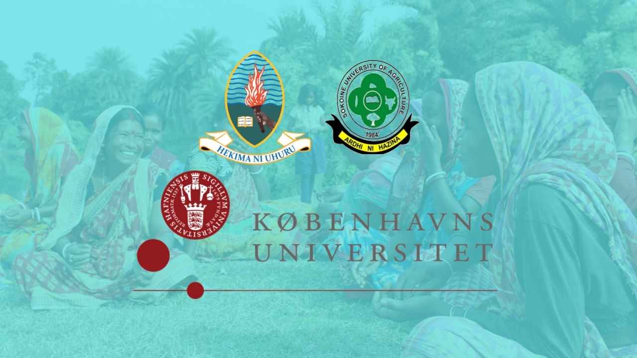 Call for Applications: 3 PhD Scholarships on Climate Change and Rural Livelihoods in the Rufiji Delta (Tanzania)