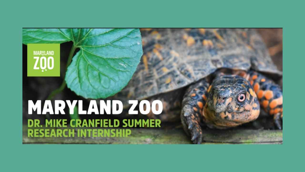 Dr. Mike Cranfield Summer Research Internship 2026 (USA): Paid Zoo Veterinary Research Opportunity