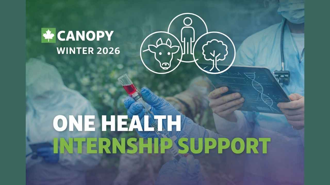 Canopy One Health Internship Support 2026 (Canada): Up to $10,000 Funding for Research & Public Health Internships